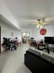 Blk 241 Hougang Heights (Hougang), HDB 3 Rooms #545088421